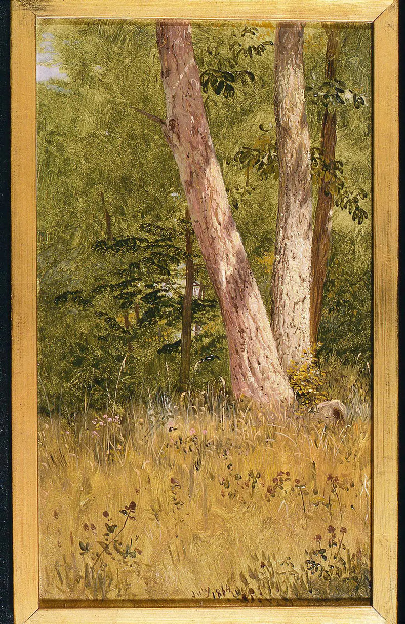 Maisema kahdella puulla - Frederic Edwin Church
