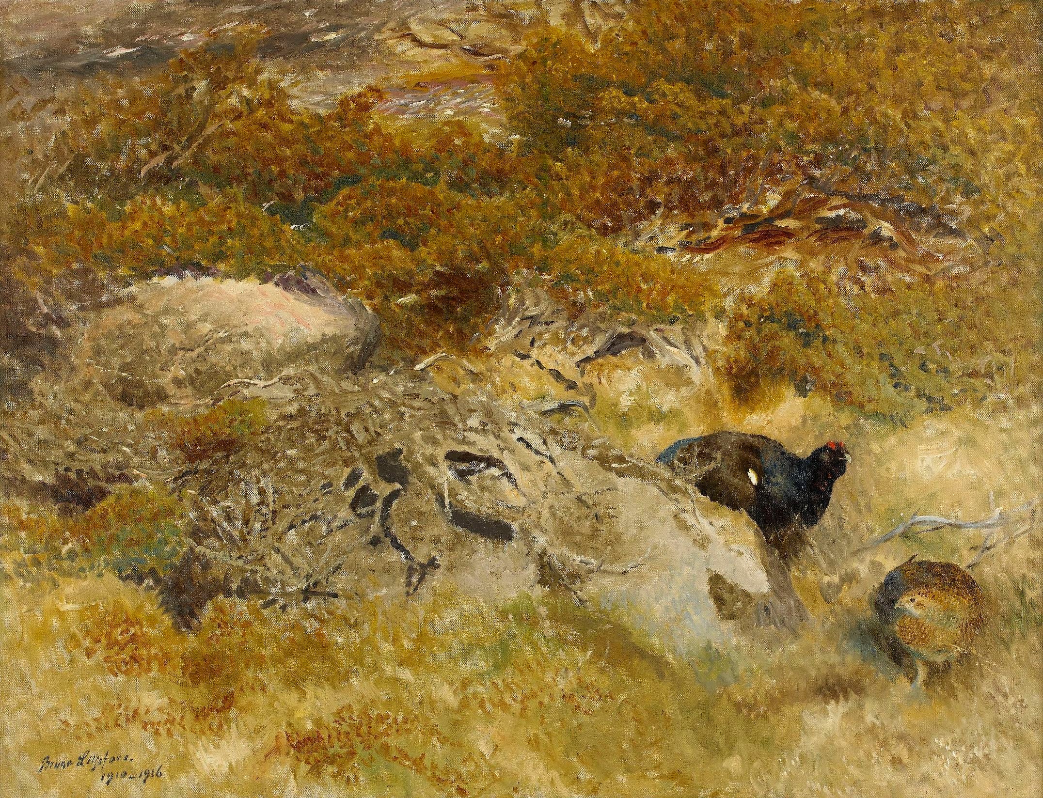 Maisema metsoineen - Bruno Liljefors