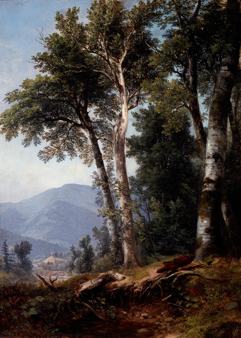 Metsäinen maisema - Asher Brown Durand
