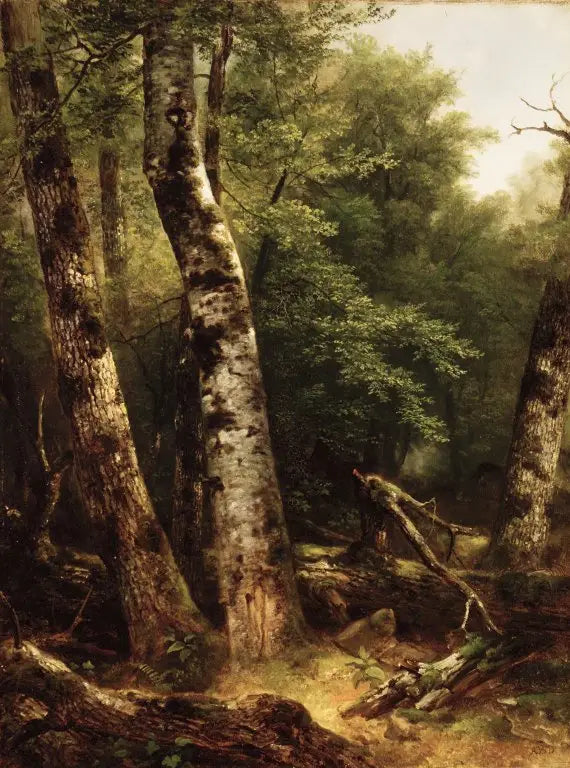 Maisemakuva (koivut ja tammet) - Asher Brown Durand