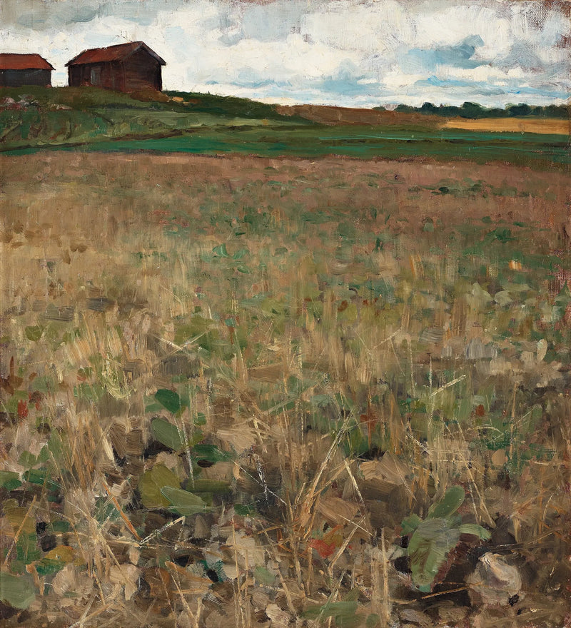 Kvarnbon maisema, Uppland - Bruno Liljefors