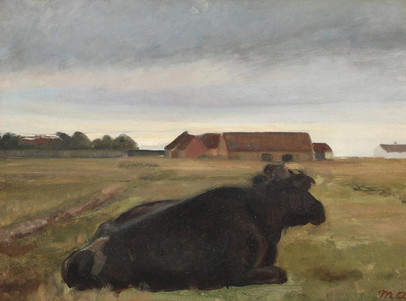 Skagenin maisema, jossa karja lepää pellolla. - Michael Peter Ancher
