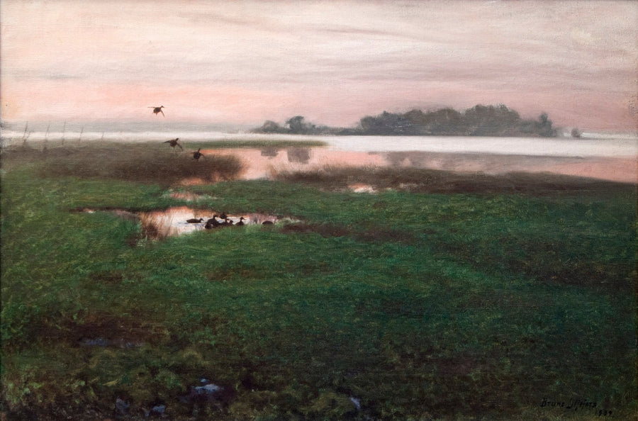 Iltamaisema - Bruno Liljefors