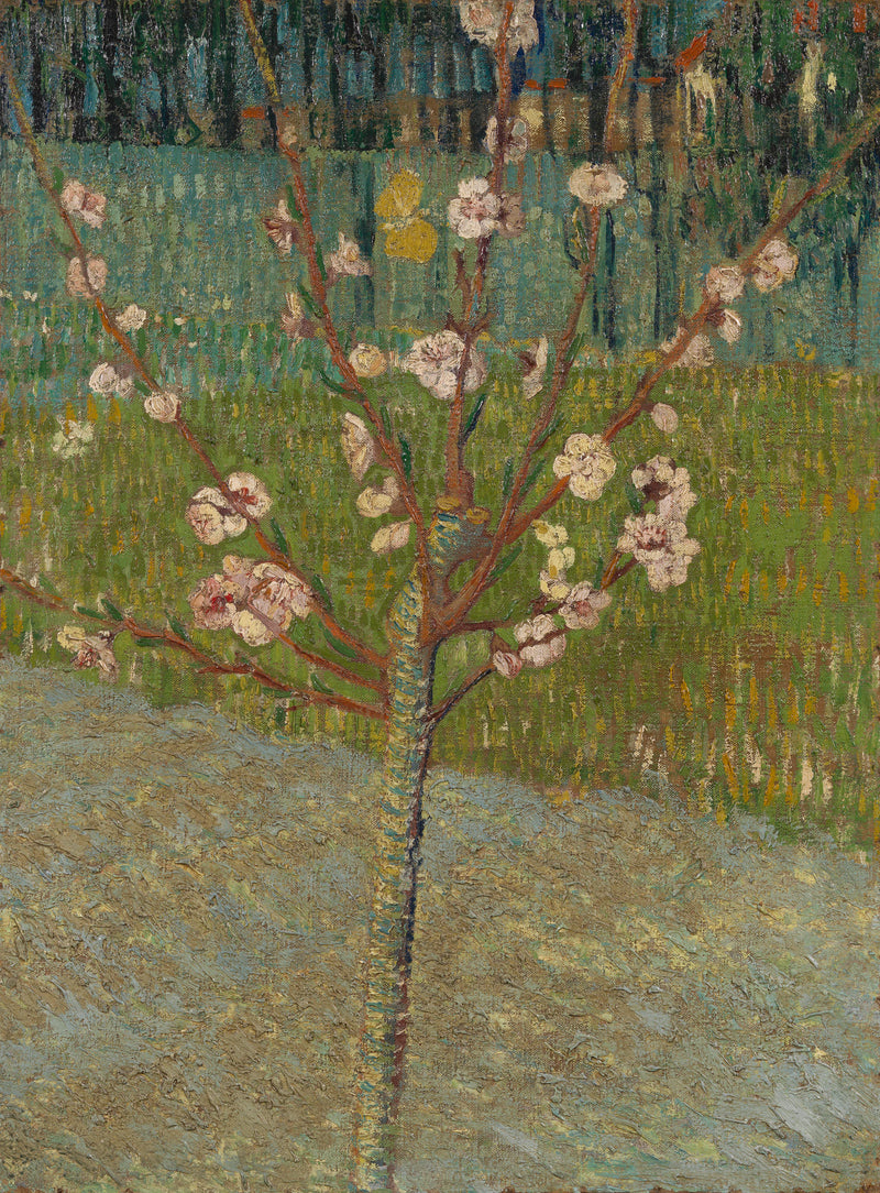 Kalastaa kukinnassa - Vincent van Gogh