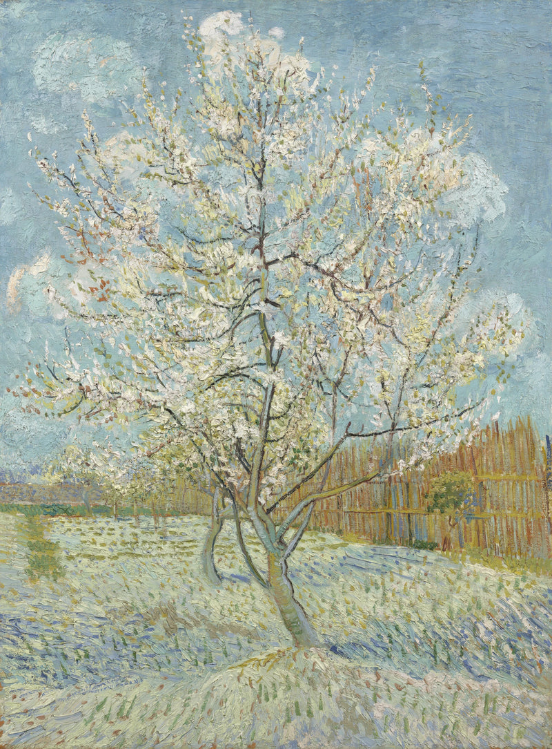 Vaaleanpunainen persikka - Vincent van Gogh