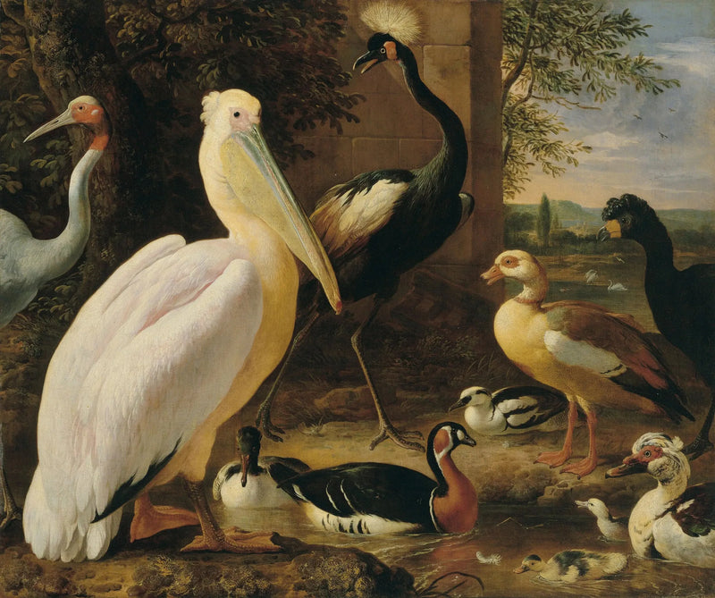 Pélican, kruunattu kurki, hocco, antigone-kurki ja ankat jokimaisemassa - Melchior de Hondecoeter