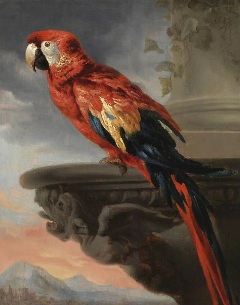 Papukaija - Peter Paul Rubens