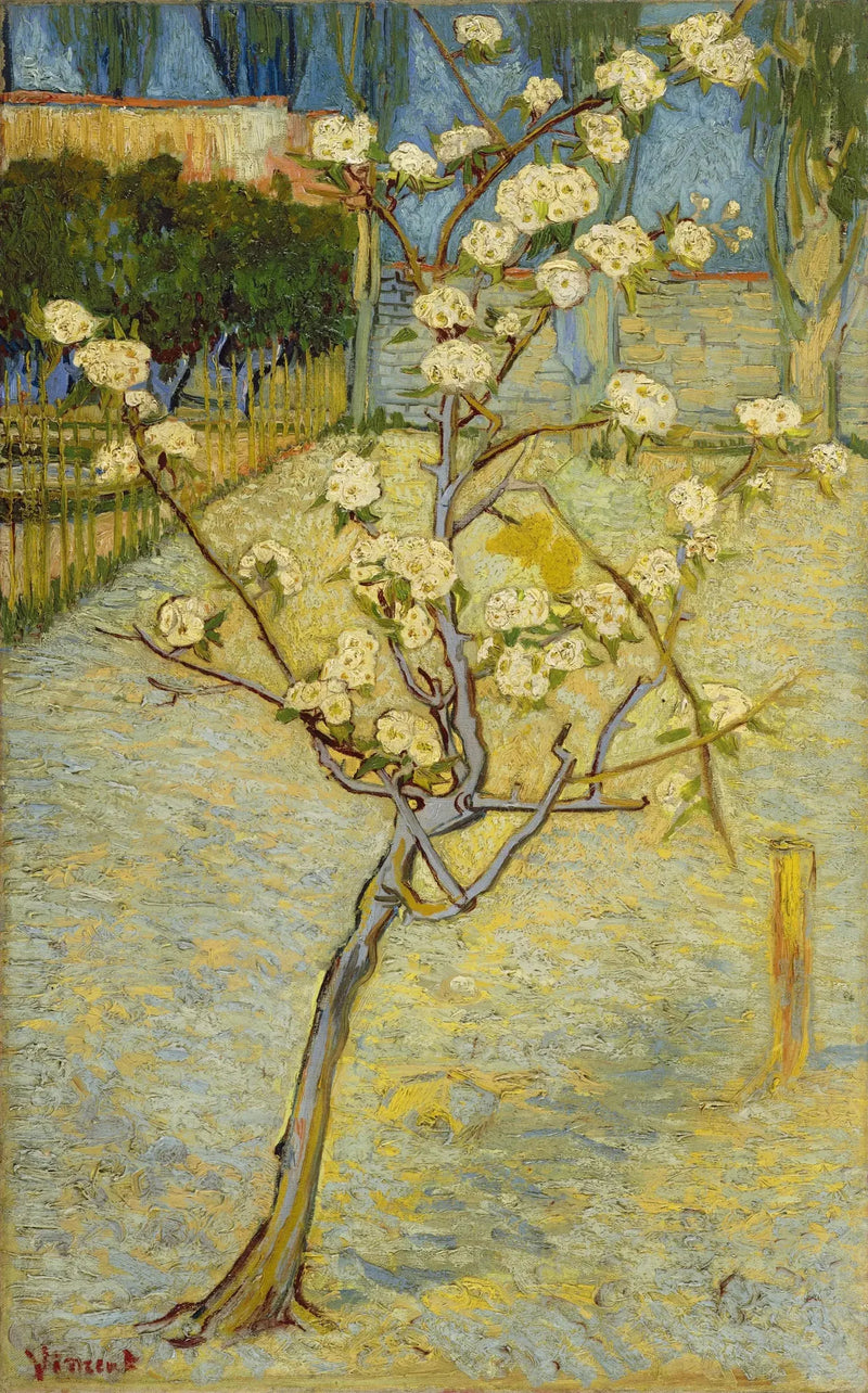 Pieni kukkiva päärynäpuu - Vincent van Gogh