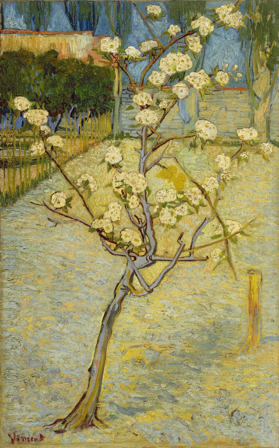 Pieni kukkiva päärynäpuu - Vincent van Gogh