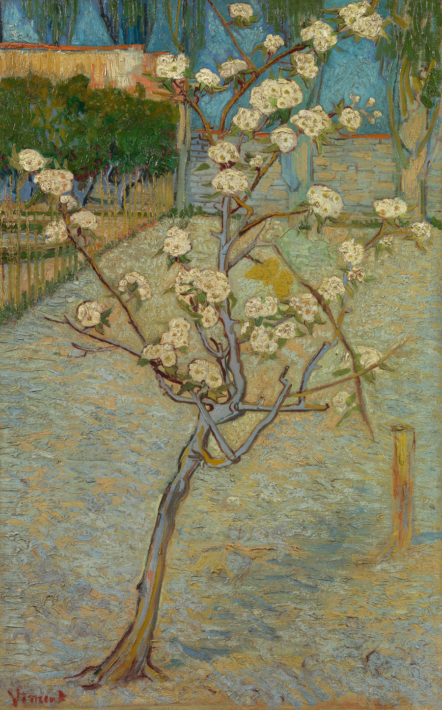 Pieni kukkiva päärynäpuu - Vincent van Gogh