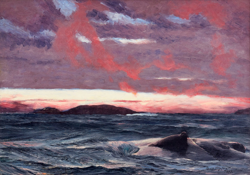 Hylje pienellä saarella auringonlaskun aikaan - Bruno Liljefors