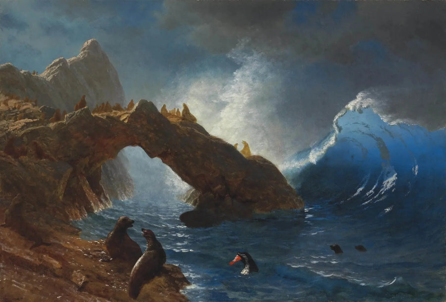 Hylkeet kalliolla - Albert Bierstadt