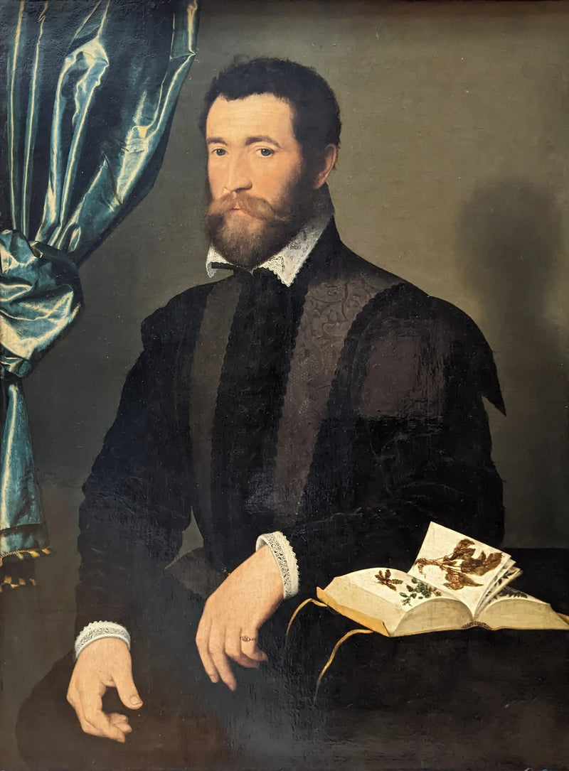 Pierre Quthe, apteekkari - François Clouet