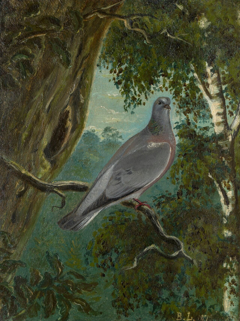 Kyyhkynen - Bruno Liljefors