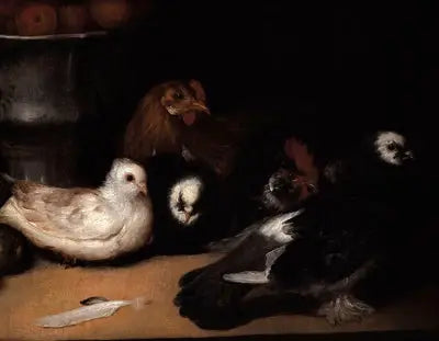 Kyyhkyset ja siipikarja - Francisco de Goya