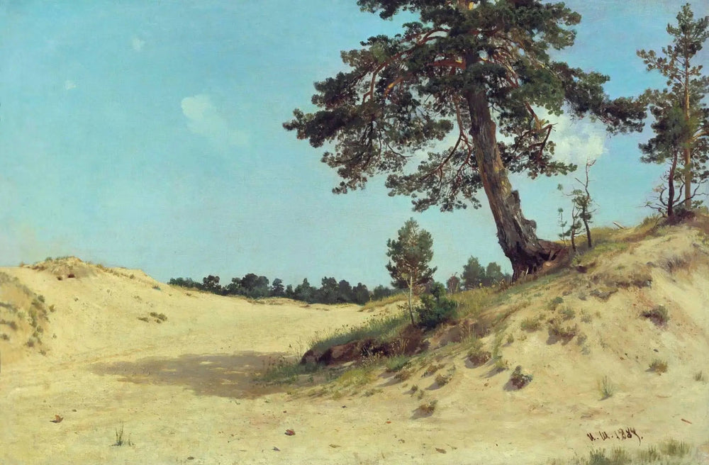 Pin dans le sable - Ivan Chichkine - Alpha Reproduction