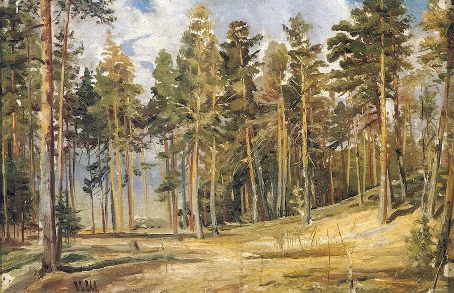 Pins. Auringonpaisteinen päivä - Ivan Chichkine