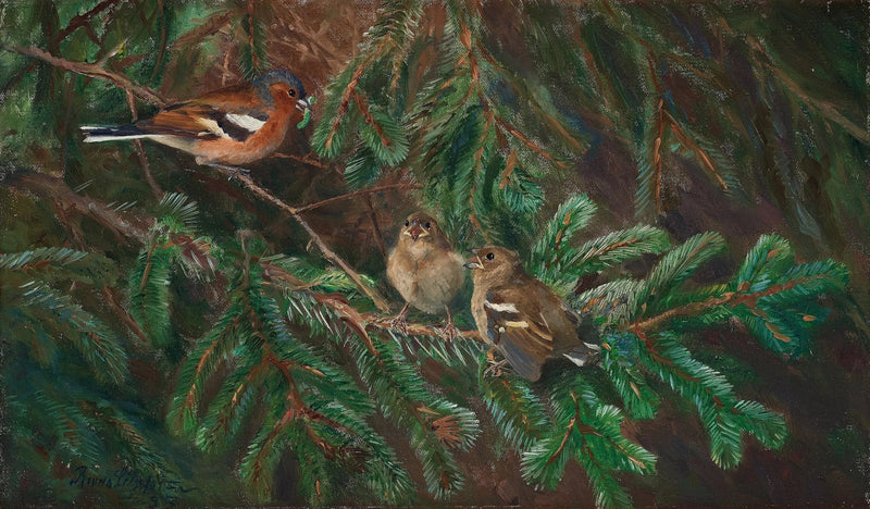 Peippo-uros ruokkii poikasiaan - Bruno Liljefors