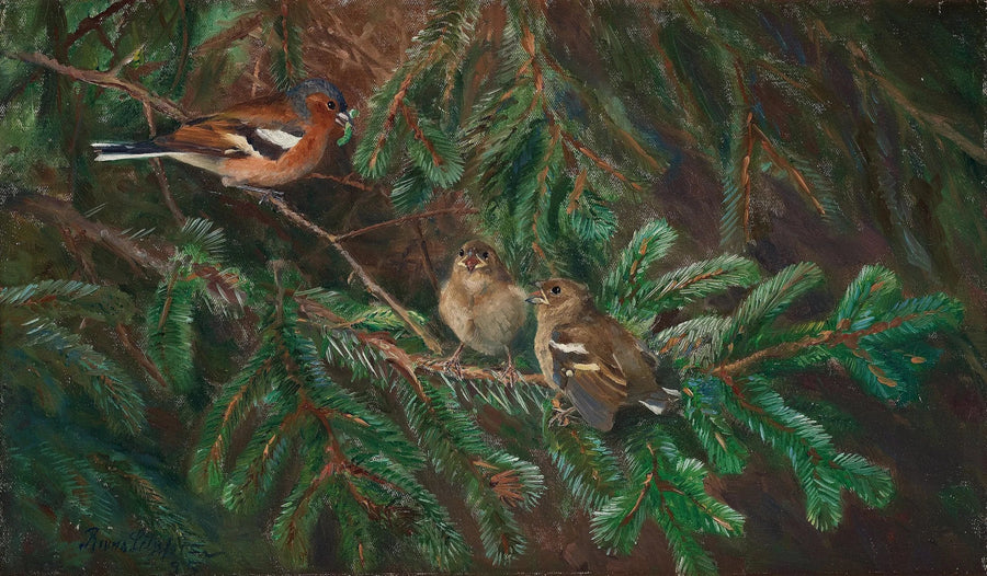 Peippo-uros ruokkii poikasiaan - Bruno Liljefors