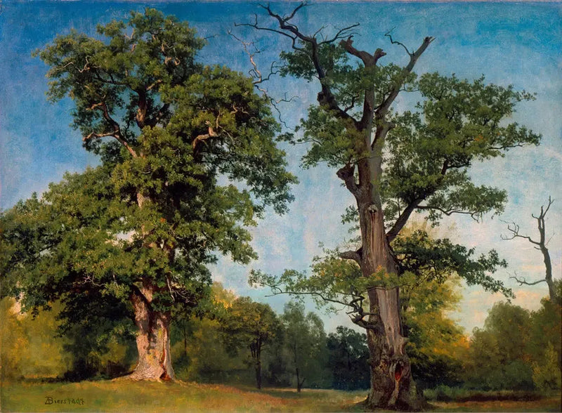 Puun pioneereja, Kalifornia - Albert Bierstadt