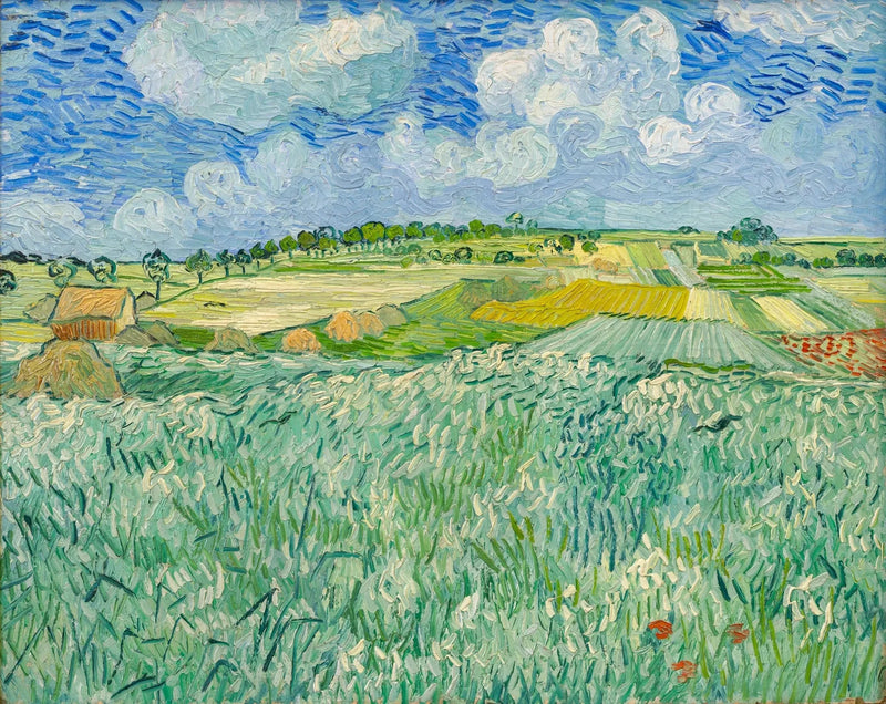 Tasanko lähellä Auversia - Vincent van Gogh