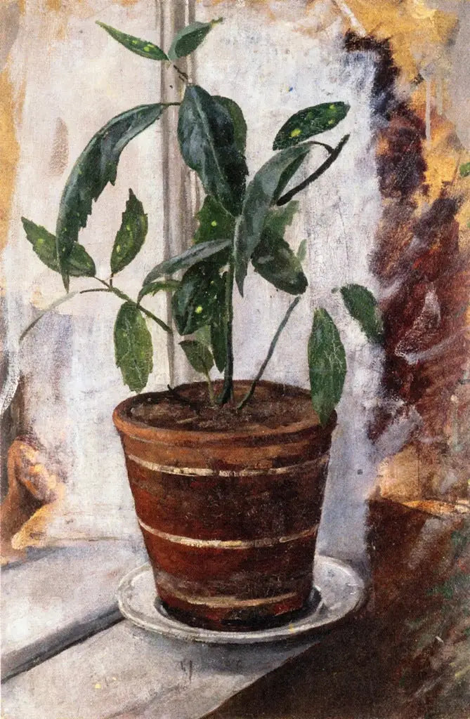 Ruukkuplantti ikkunalaudalla - Edvard Munch