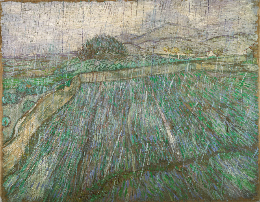 Märkä kenttä sateessa - Vincent van Gogh