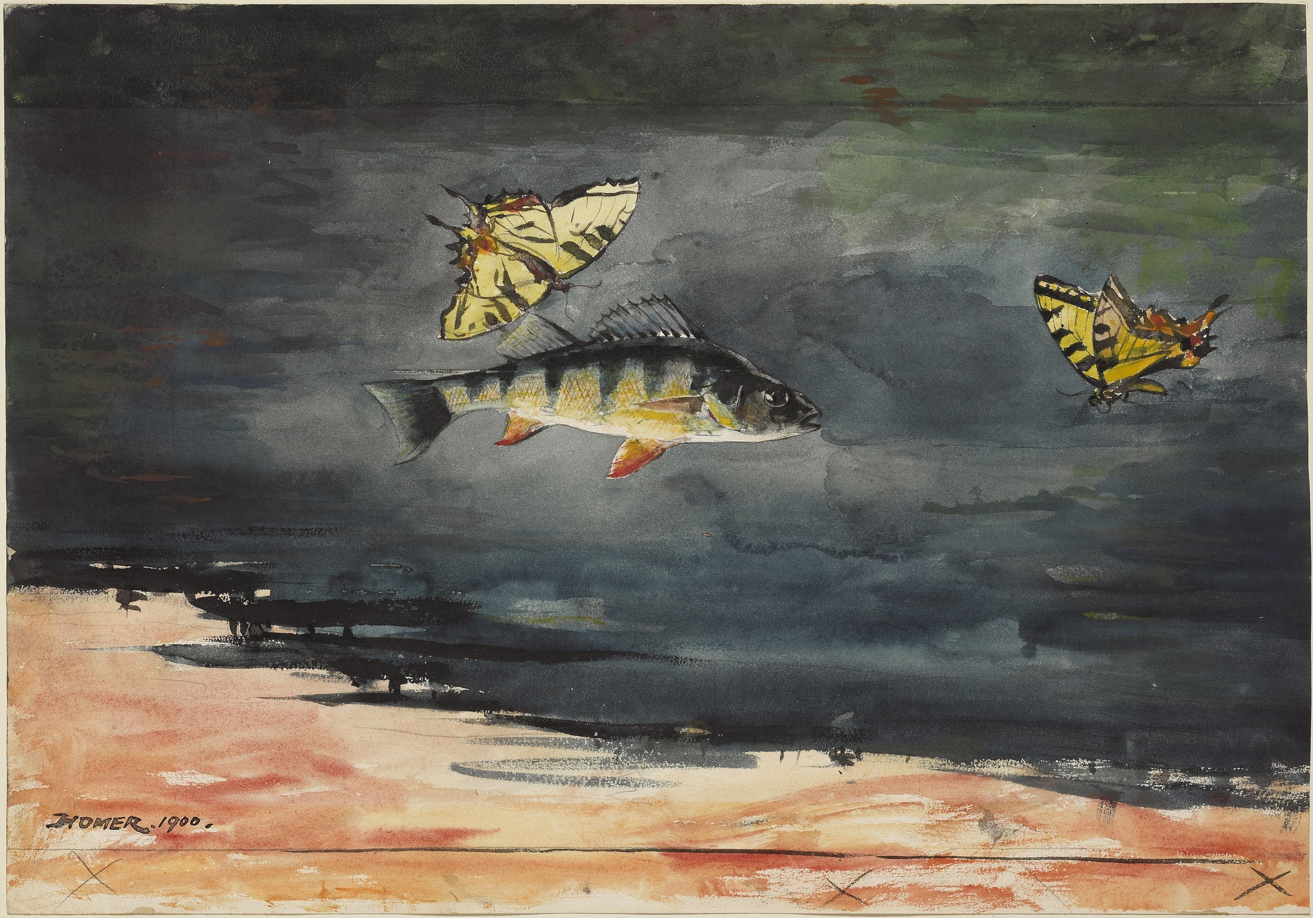 Poissons et papillons - Winslow Homer image 1 tableau peint à l’huile sur toile