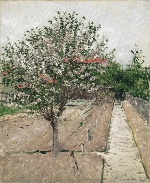 Kukassa oleva omenapuu - Gustave Caillebotte