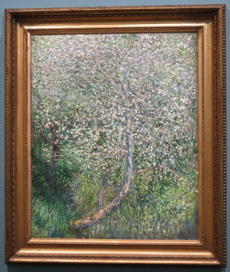 Omenapuu kukkivat veden äärellä W585 - Claude Monet