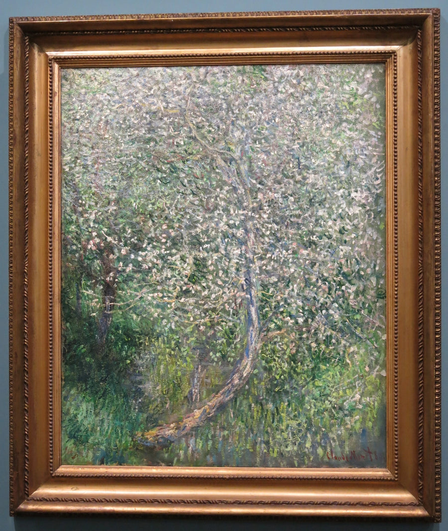 Omenapuu kukkivat veden äärellä W585 - Claude Monet