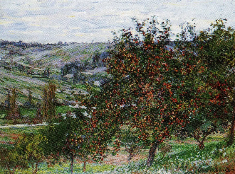Omenapuut lähellä Vétheuil W488 - Claude Monet
