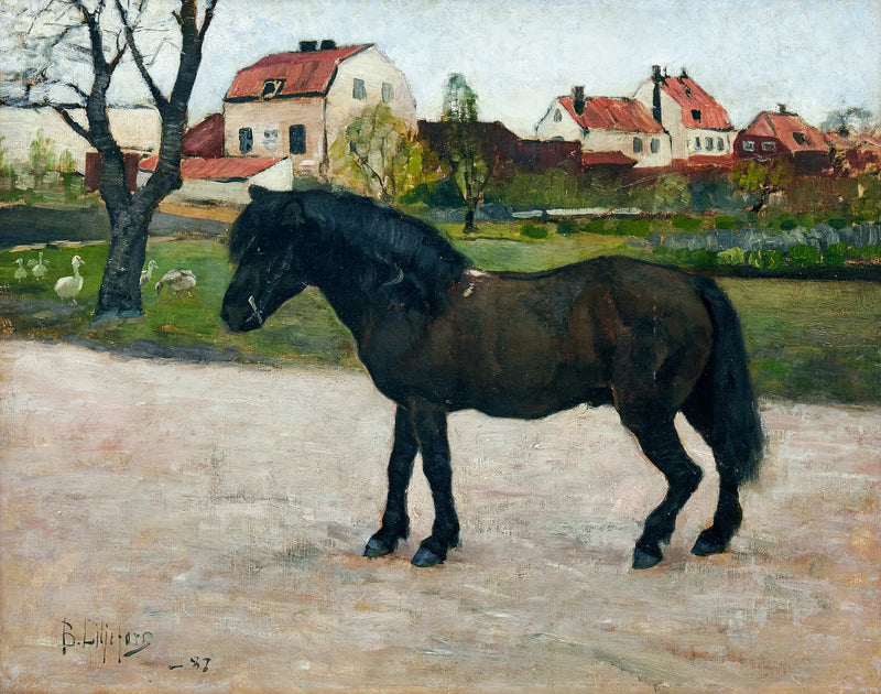Musta poni - Bruno Liljefors