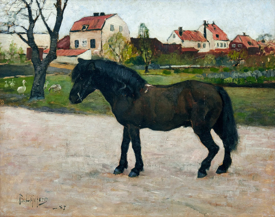 Musta poni - Bruno Liljefors
