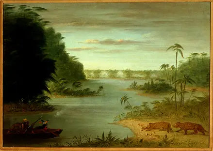 Palmiersilta ja Tigri-ampuminen - George Catlin