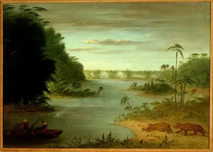 Palmiersilta ja Tigri-ampuminen - George Catlin
