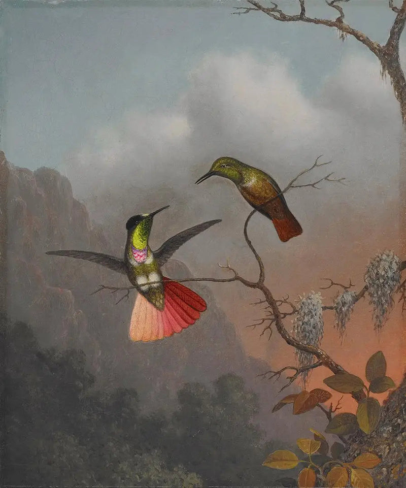 Visierin kanssa varustettu huppupose - Martin Johnson Heade