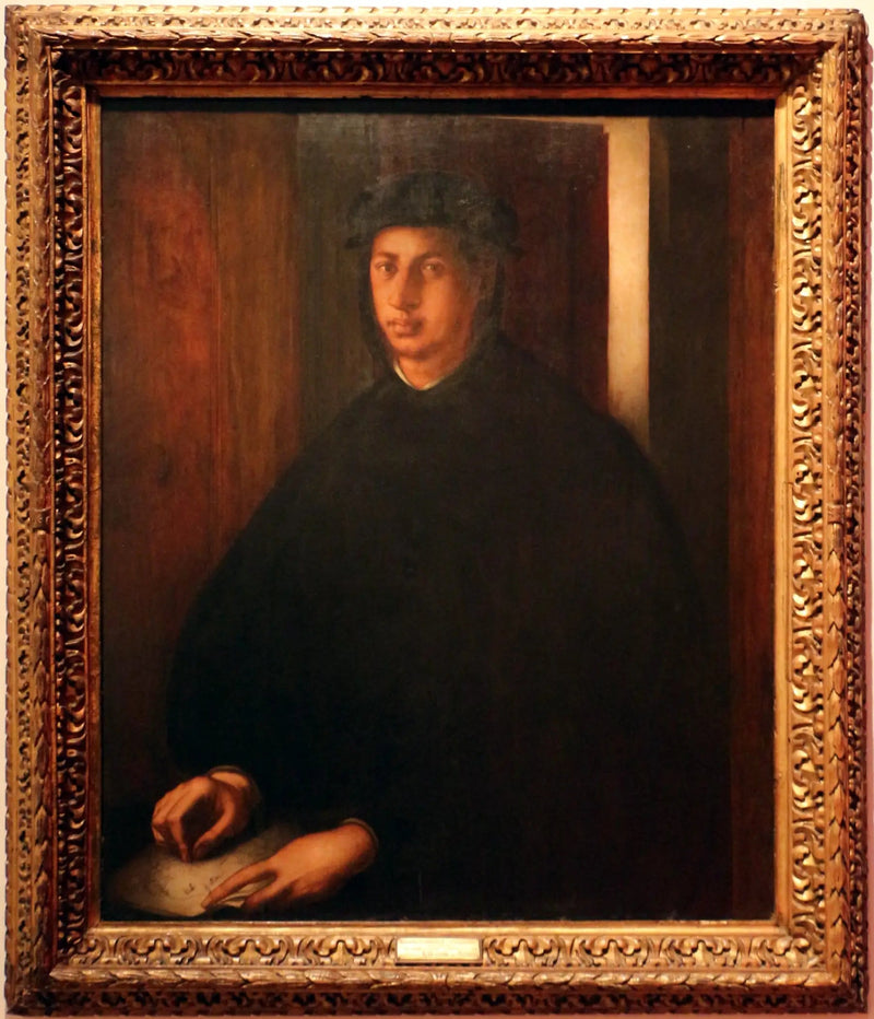 Alexandre de Médicis'n muotokuva - Pontormo