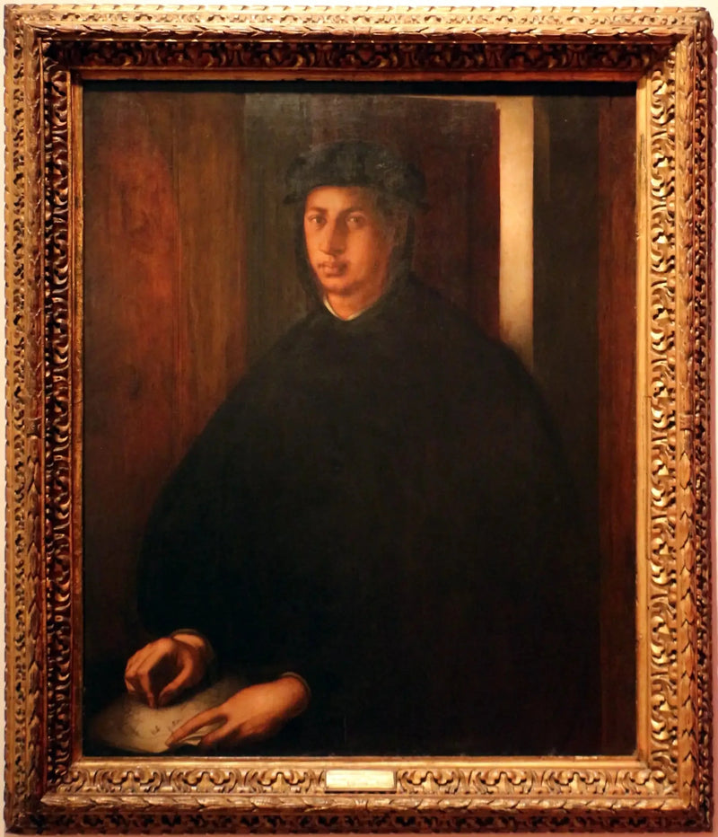 Alexandre de Médicis'n muotokuva - Pontormo
