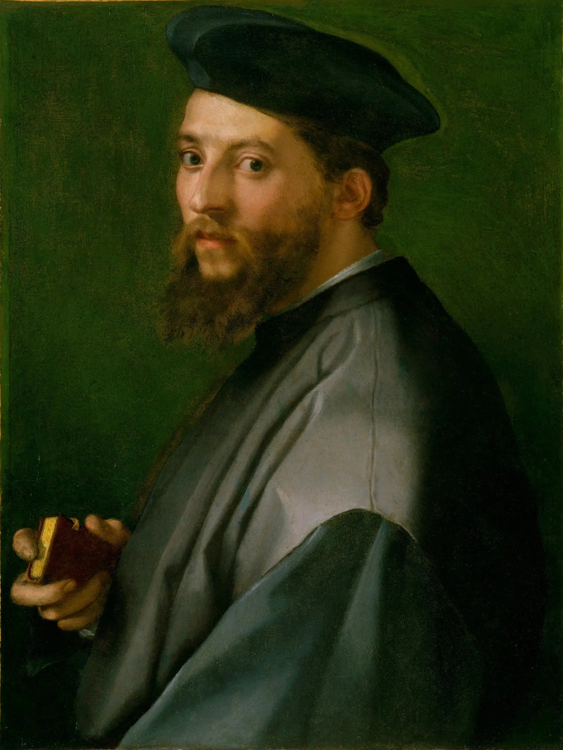 Miehen muotokuva - Andrea del Sarto