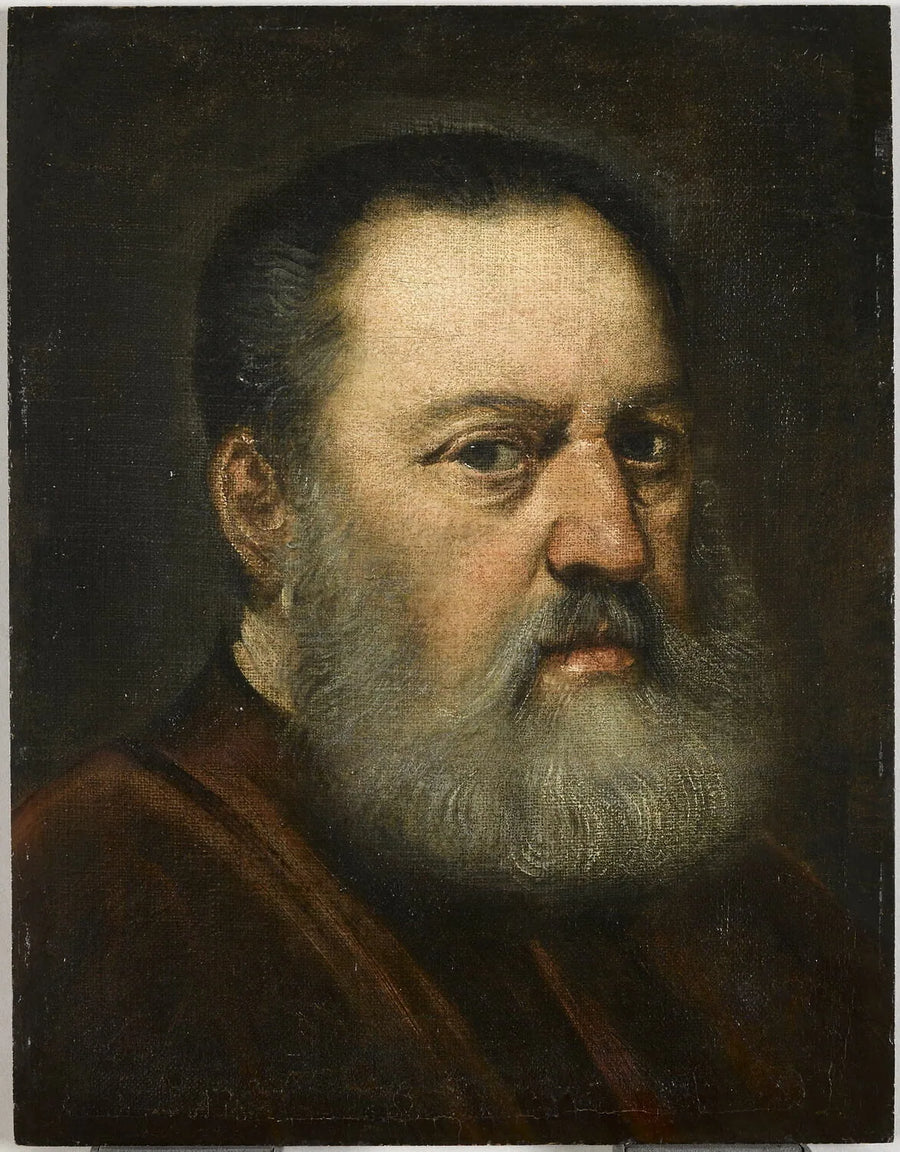 Miehen muotokuva - Jacopo Tintoretto