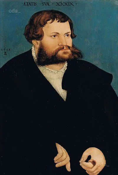 Miehen muotokuva - Lucas Cranach vanhempi