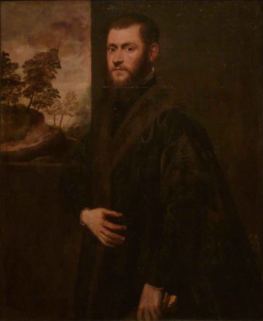Nuoren nuorukaisen muotokuva - Jacopo Tintoretto