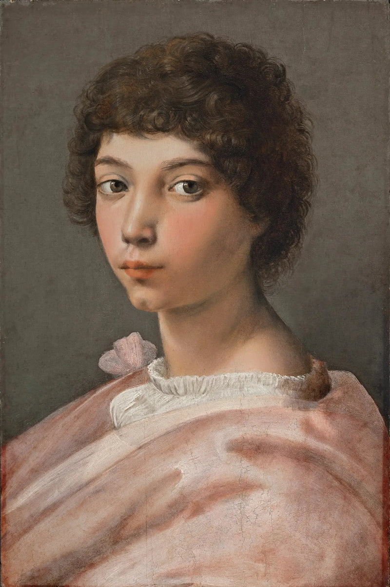 Nuoren miehen muotokuva - Raphael Sanzio