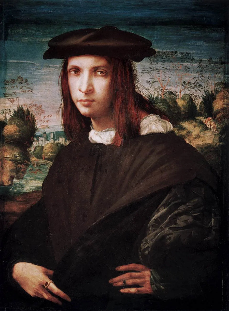 Nuoren miehen muotokuva - Rosso Fiorentino