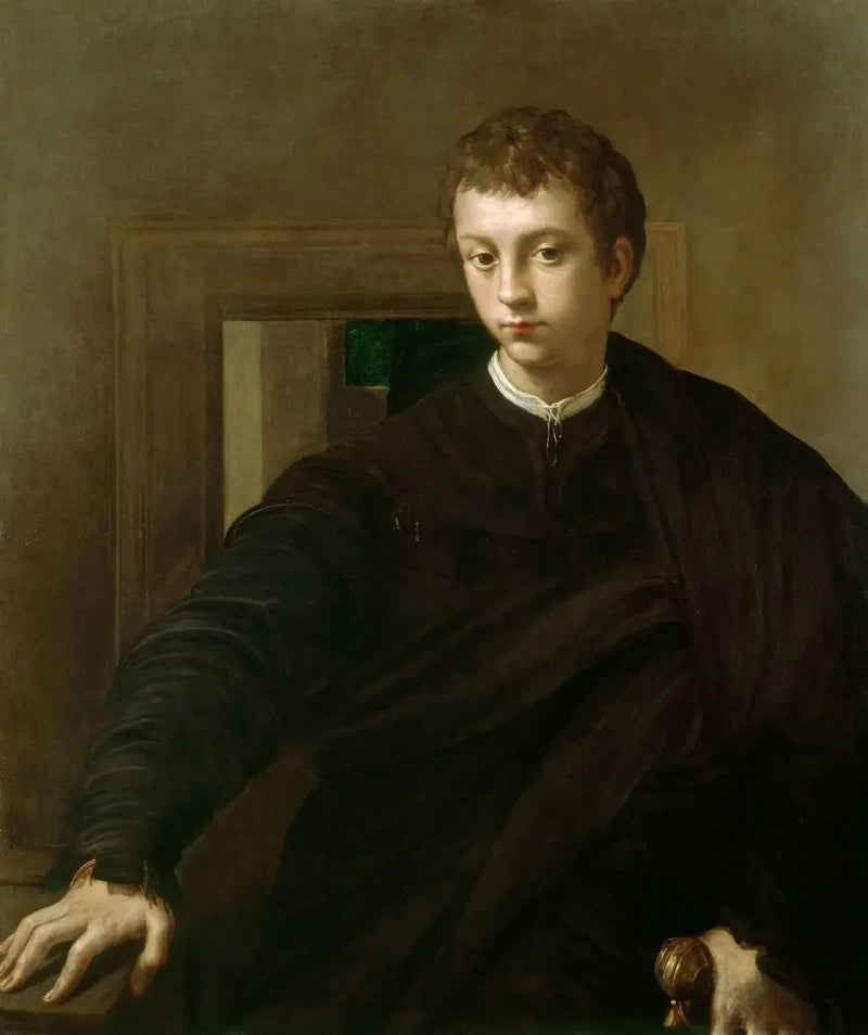 Nuoren aatelisen muotokuva - Parmigianino