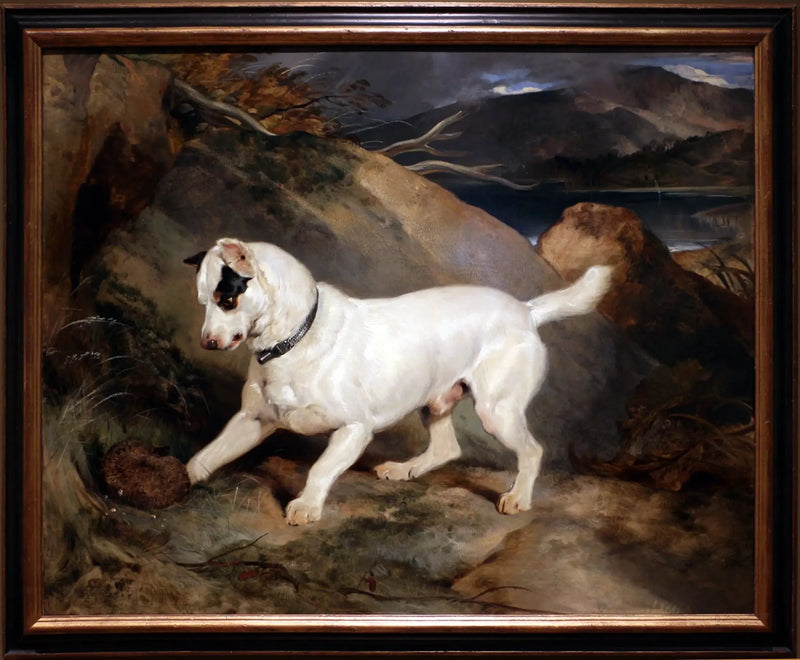 Muotokuva terrieristä, Owen Williamsin, ESQ:n, omistama, kansanedustaja (Jocko ja siili) - Edwin Henry Landseer
