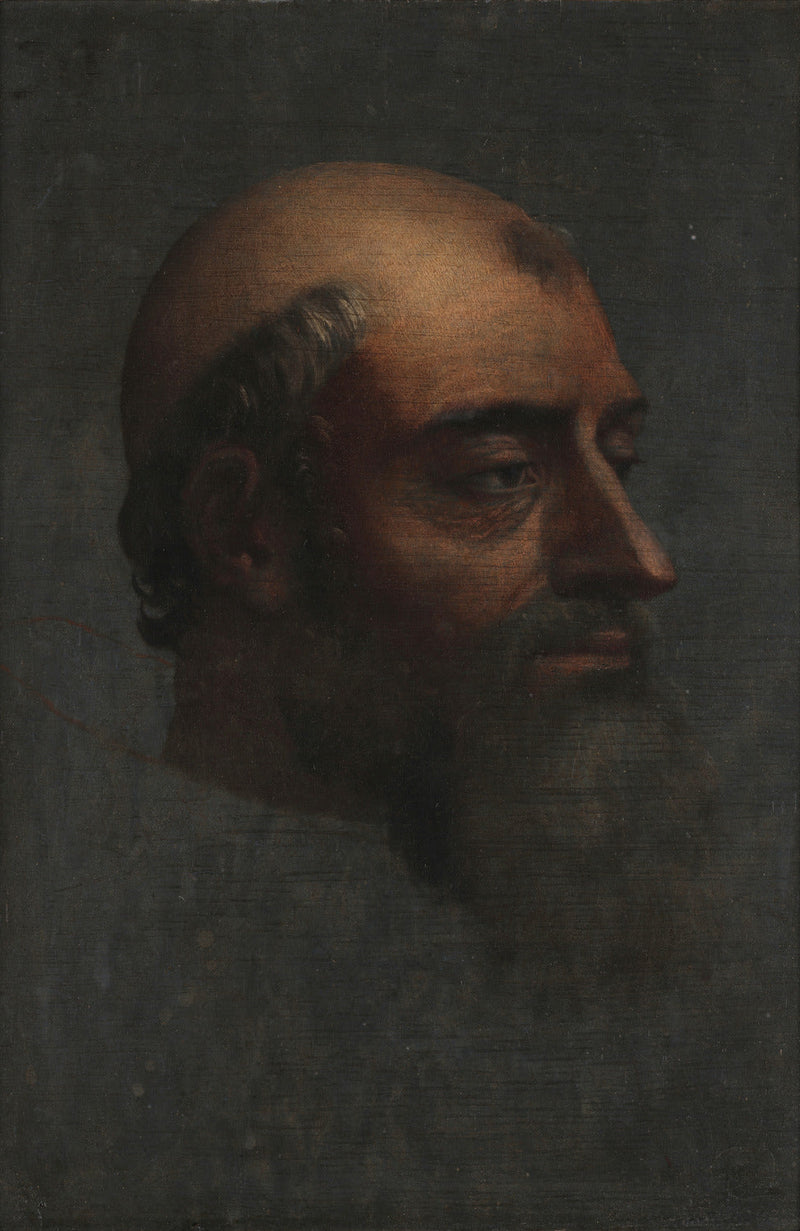 Clement VII:n muotokuva parralla - Sebastiano del Piombo