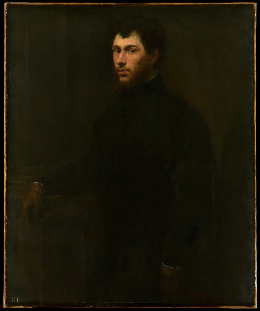 Nuoren miehen muotokuva - Jacopo Tintoretto