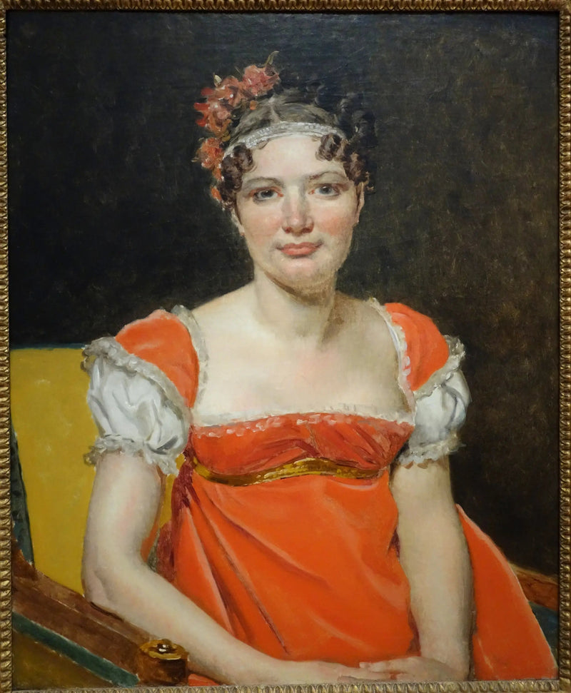Laure-Émilie-Félicité Davidin muotokuva, La Baronne Meunier - Jacques-Louis David